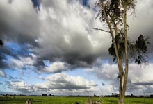 2023年女排世联赛赛程安排是怎样的？