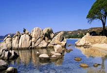 国足冲击2026世界杯，这次能走多远？